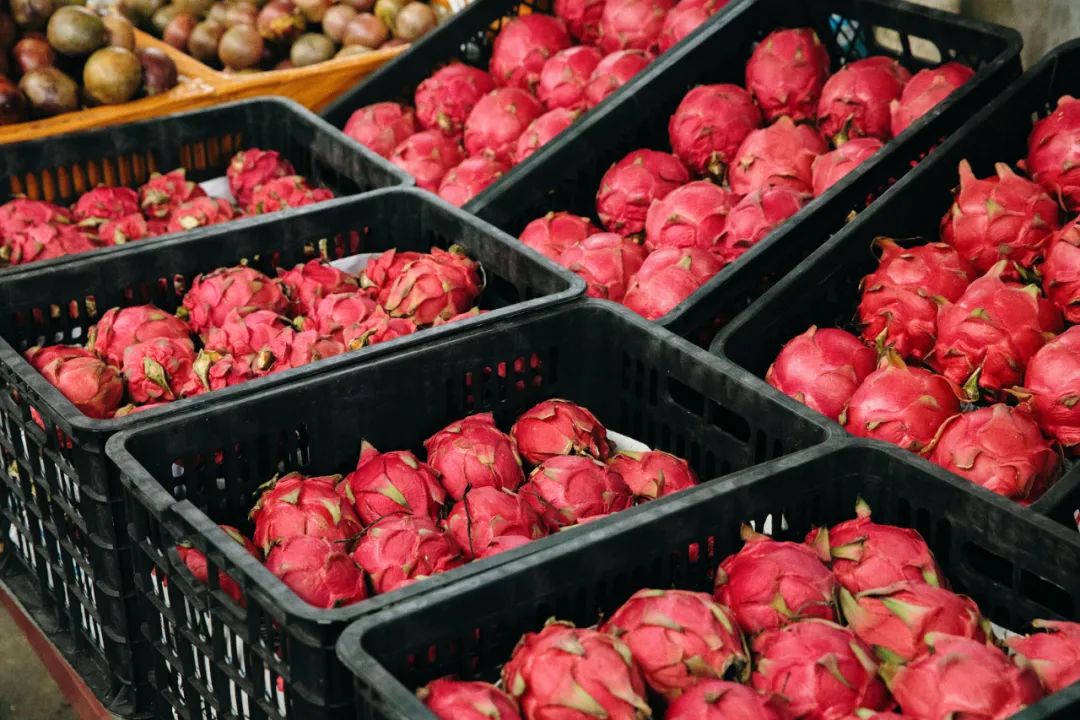 最适郃(he)畢業旅行的(de)9箇(ge)目(mu)的(de)地，好吃又(yòu)不貴